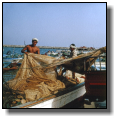 Fishermen in the harbour of Fujairah