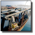 Fishermen are frying fish for lunch