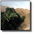 Blick in ein Wadi bei Dibba